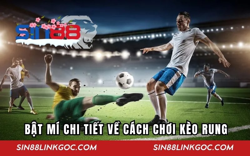Hướng dẫn cho hội viên cách để chơi kèo rung hiệu quả nhất