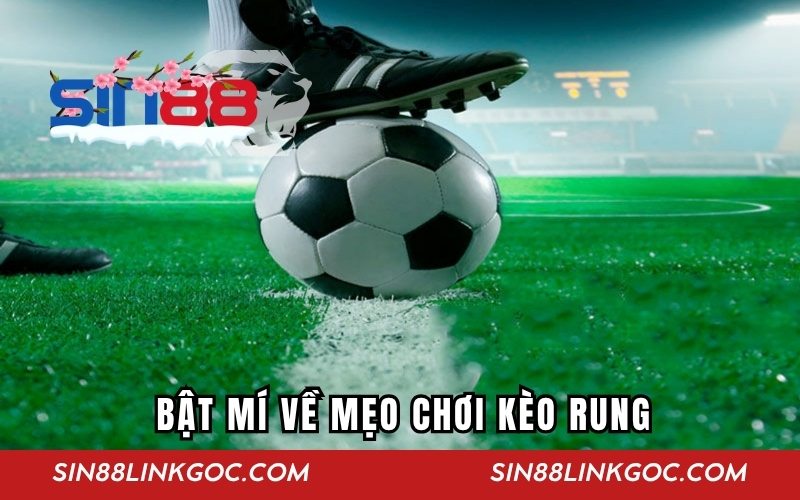 Bật mí kỹ năng chơi kèo rung thắng cực đậm