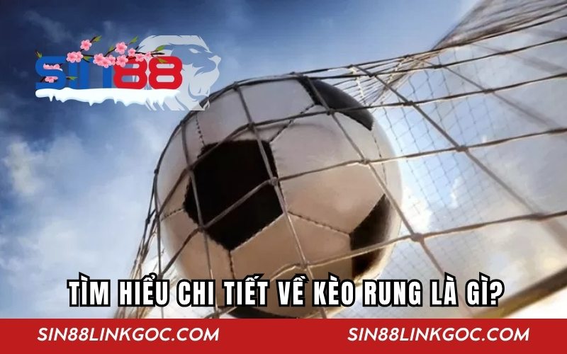 Hiểu rõ về kèo rung là gì