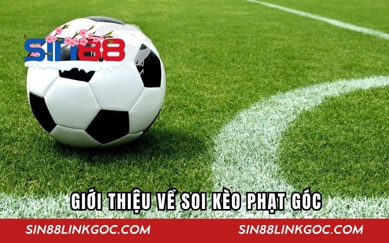 Giới thiệu về soi kèo phạt góc SIN88
